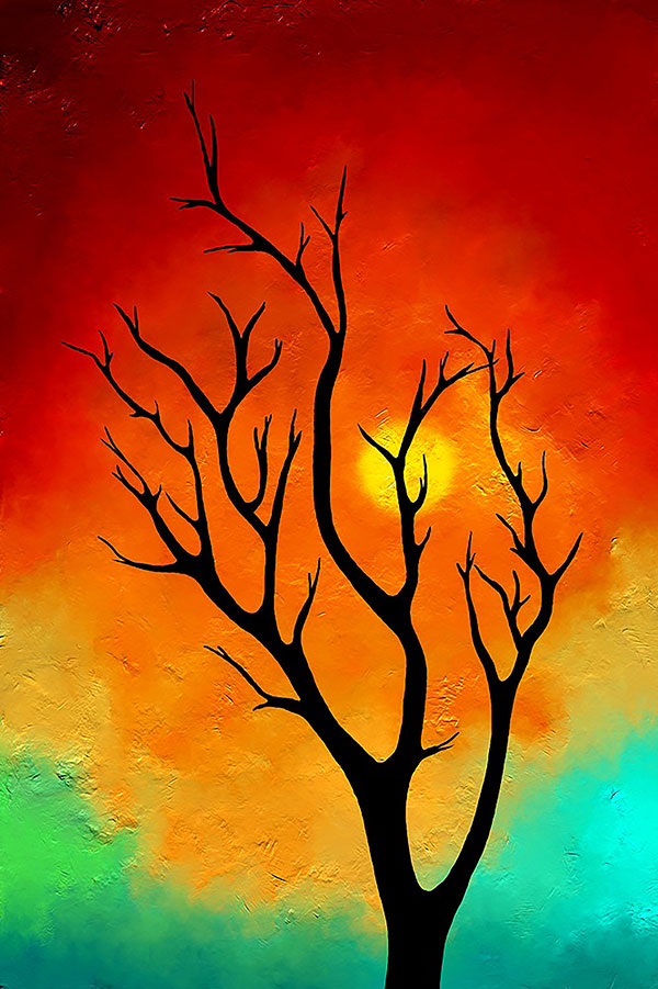 Dream in Color by Jane Doe